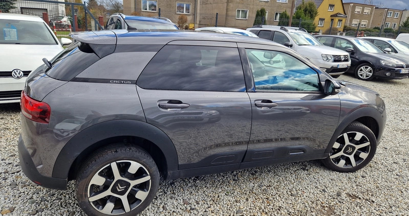 Citroen C4 Cactus cena 54900 przebieg: 35000, rok produkcji 2019 z Sulechów małe 154